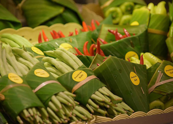 Leaf Your Plastic Packaging for Eco-Friendly Banana Leaves