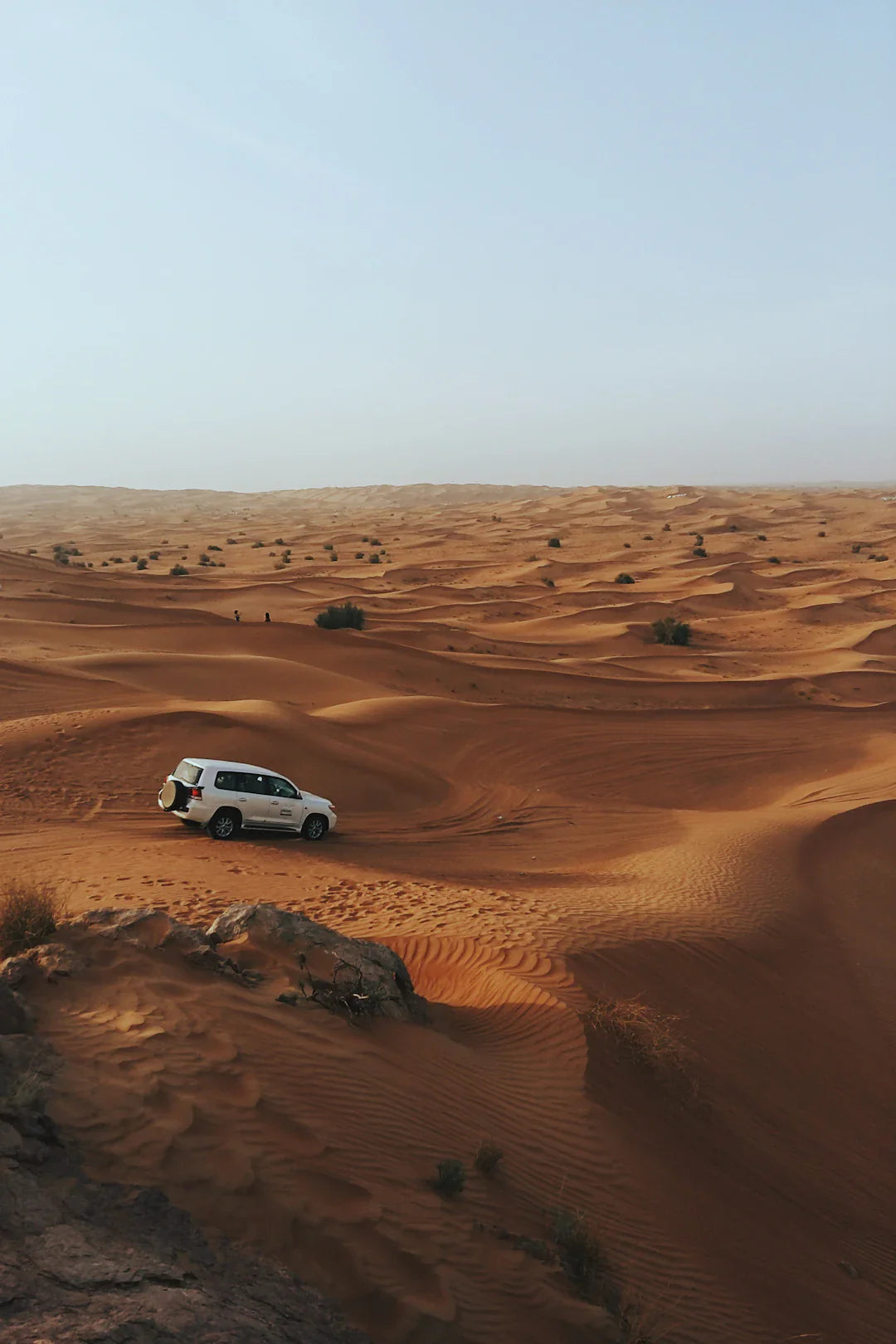 The Rich History of Chocolate in Dubai A Delicious Journey Through Time