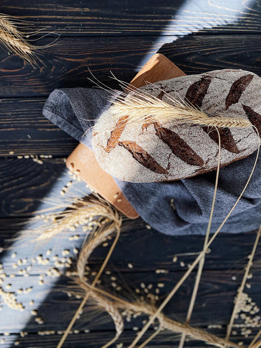 The Science of Sourdough Understanding Fermentation