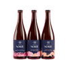 The Norïe Story (3-Pack) | Non-alc Sparkling Blends
