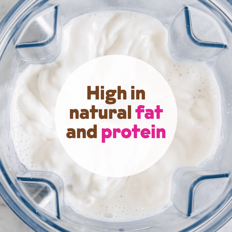Cashew Milk Base (2-Pack)