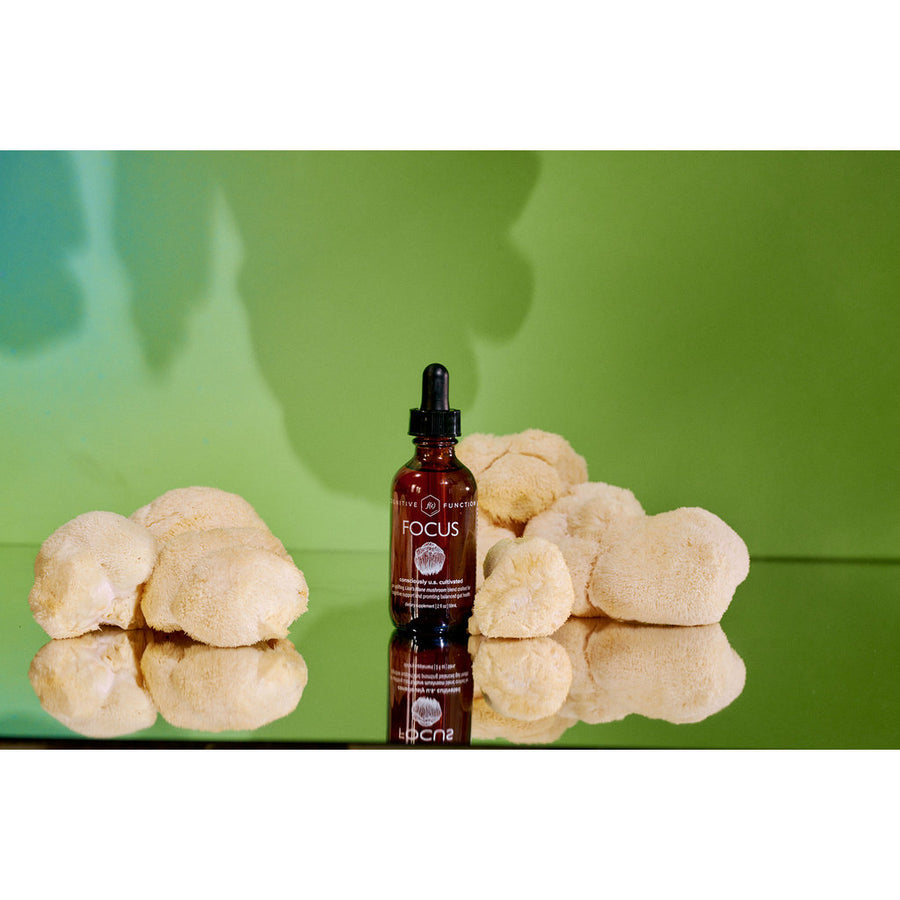 FOCUS Lion's Mane and Herbal Tincture