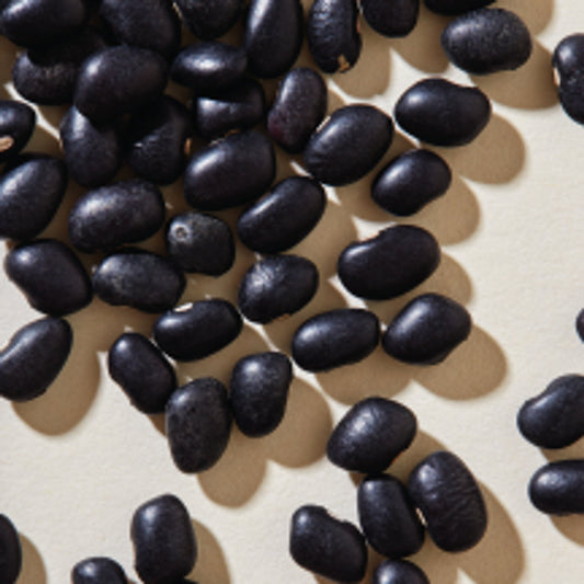 Beanstory Organic Black Beans