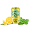 Sparkling Mint Lemonade (12-Pack)