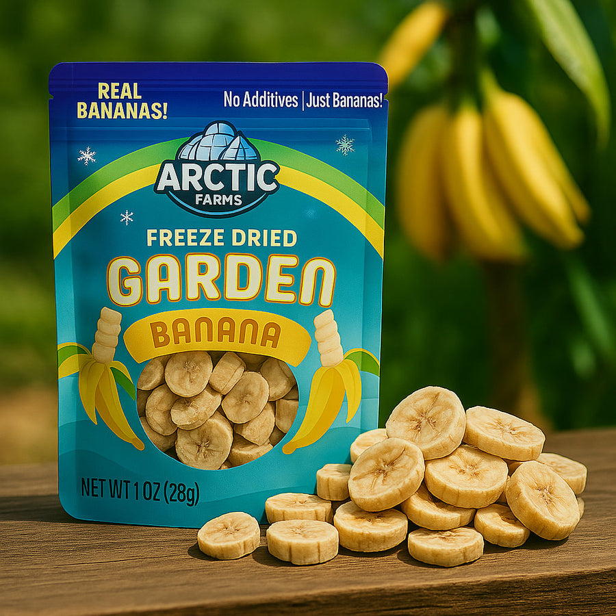 Freeze Dried Banana Chips - 100% Real Fruit (Small Pack)