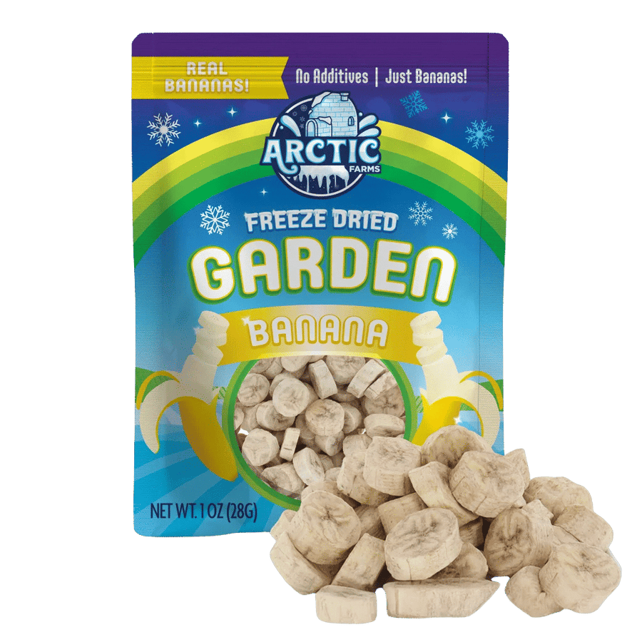 Freeze Dried Banana Chips - 100% Real Fruit (Small Pack)