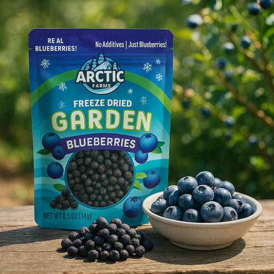 Freeze Dried Blueberries - 100% Fruit (Large Pack)