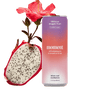 Hibiscus Dragon Fruit Botanical Water (12-Pack)