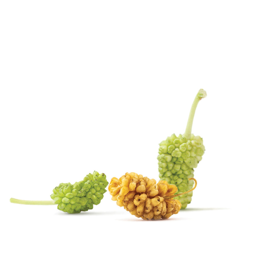 White Mulberries 8oz (2-Pack)