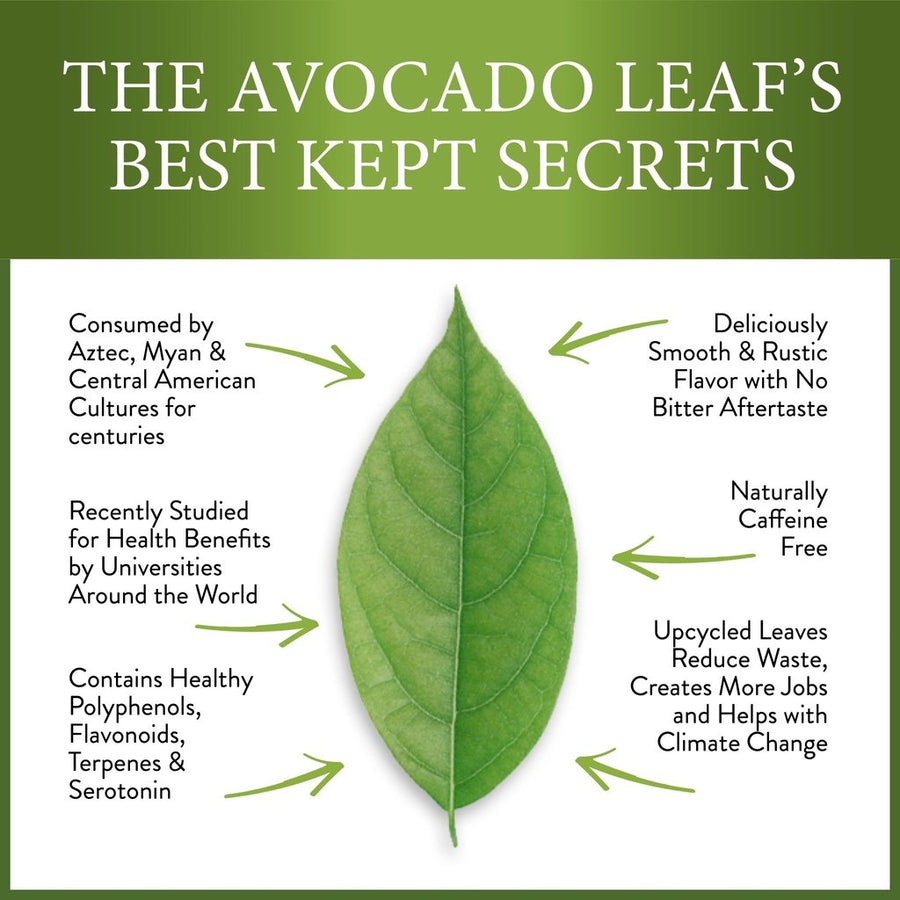 Natural Avocado Leaf Tea