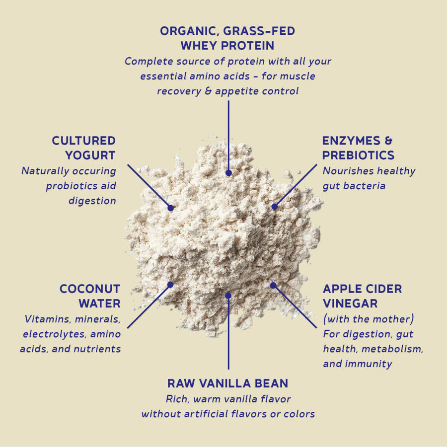Grass-Fed Whey Protein Powder - Vanilla Cream