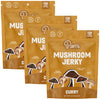 Curry Mushroom Jerky (3-pack)