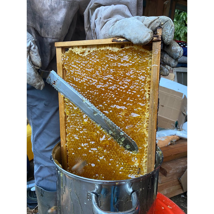 Hawaiian Raw Honey - Rare Liliko'i 4oz