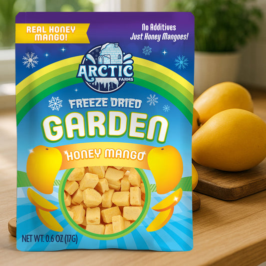 Freeze Dried Honey Mango - 100% Real Fruit (Small Pack)
