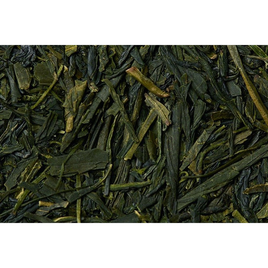 Finest Sencha Green Tea