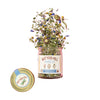 Stardust Tea Blend