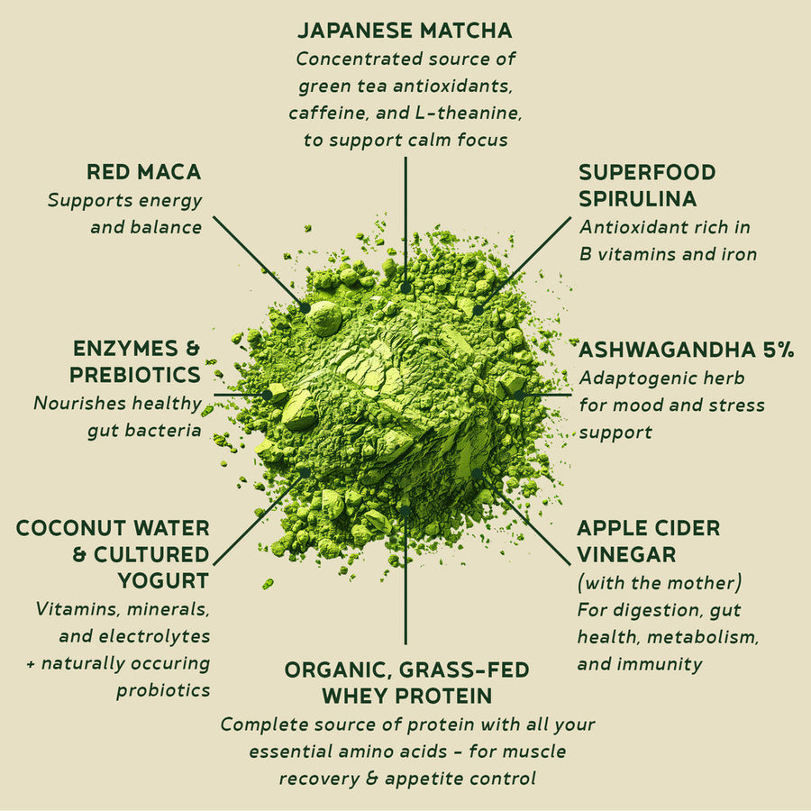 BBfL Matcha Cream Lifestyle Shakes (Whey)