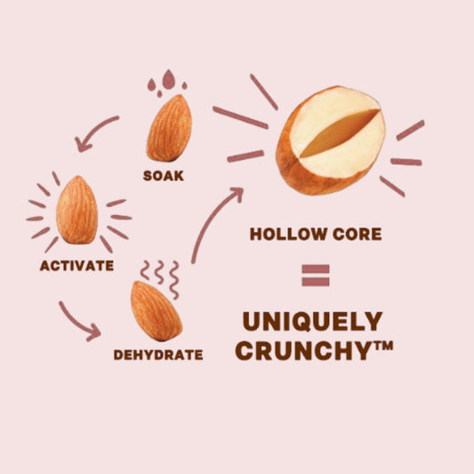 Cherry Berry Sprouted Nut Medley (6-Pack)