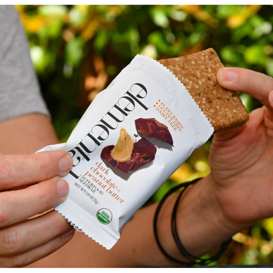 Dark Chocolate + Peanut Butter Seedbar (12-pack)