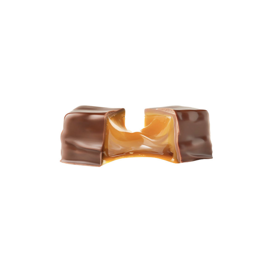 Chocolate Covered Date Caramels (5-pack)