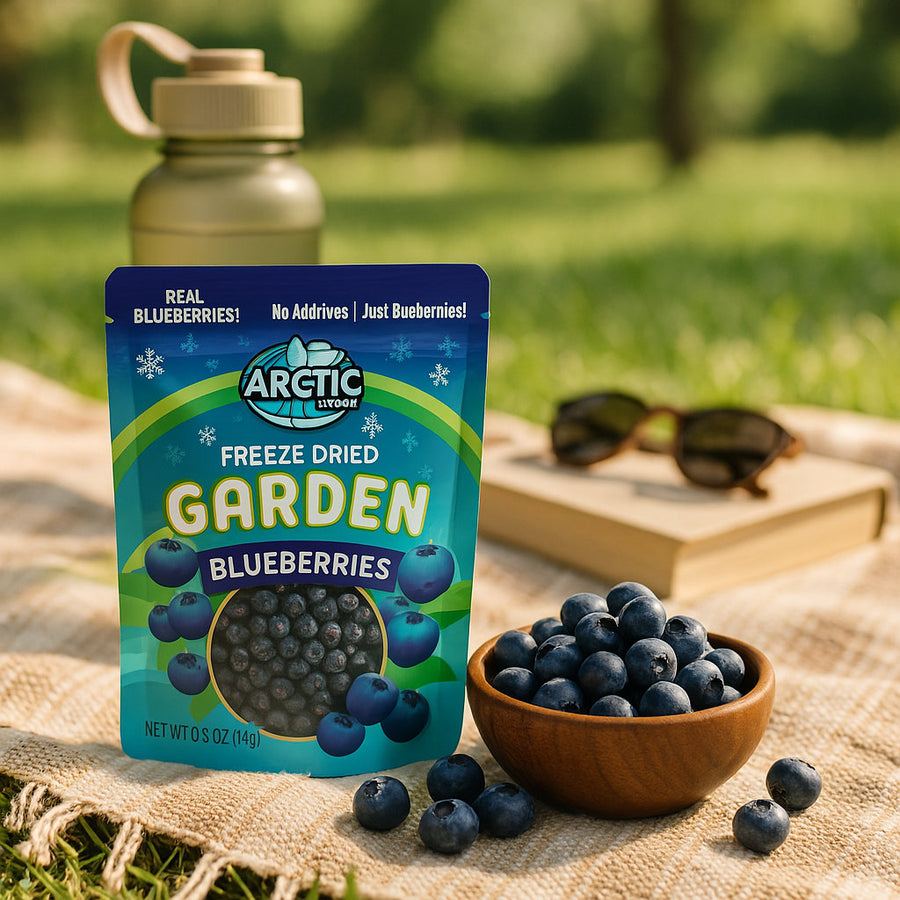 Freeze Dried Blueberries - 100% Fruit (Small Pack)