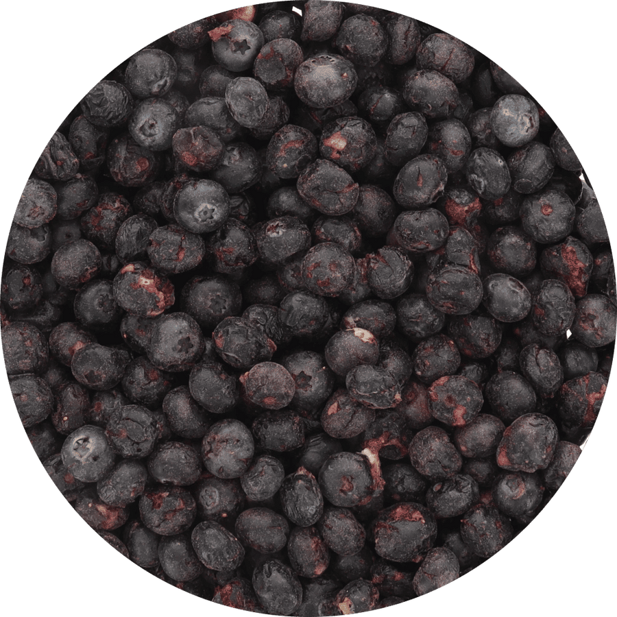 Freeze Dried Blueberries - 100% Fruit (Small Pack)