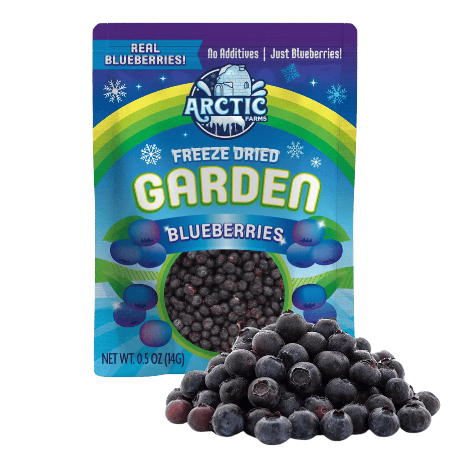 Freeze Dried Blueberries - 100% Fruit (Small Pack)
