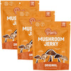 Original Shiitake Mushroom Jerky (3-Pack)