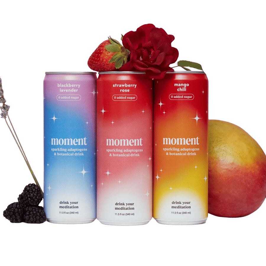 Moment - Botanical Soda Best Sellers Variety (18-pack)