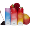Moment - Botanical Soda Best Sellers Variety (18-pack)