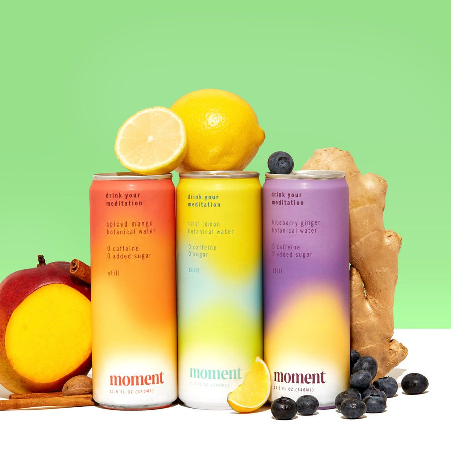 Moment - Botanical Soda Best Sellers Variety (18-pack)
