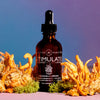 STIMULATE Cordyceps Mushroom and Herbal Tincture