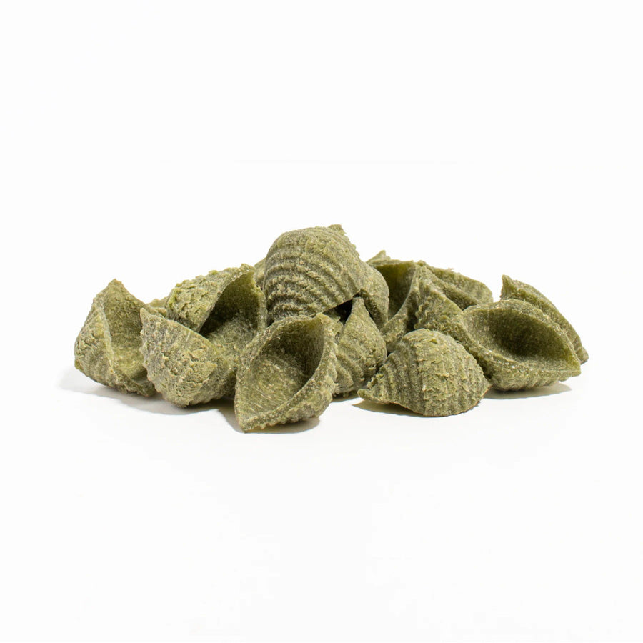 Spinach Conchiglie - 8 oz. (4-pack)