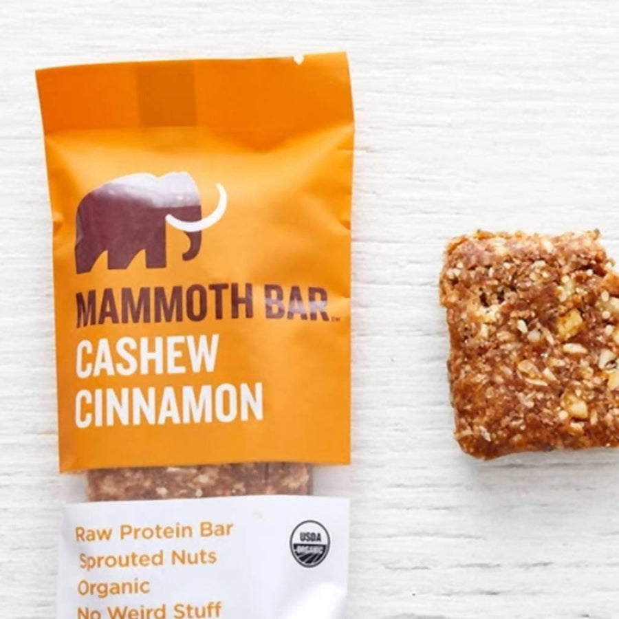 Raw Sprouted Protein Bar - Cashew Cinnamon (10-Pack)