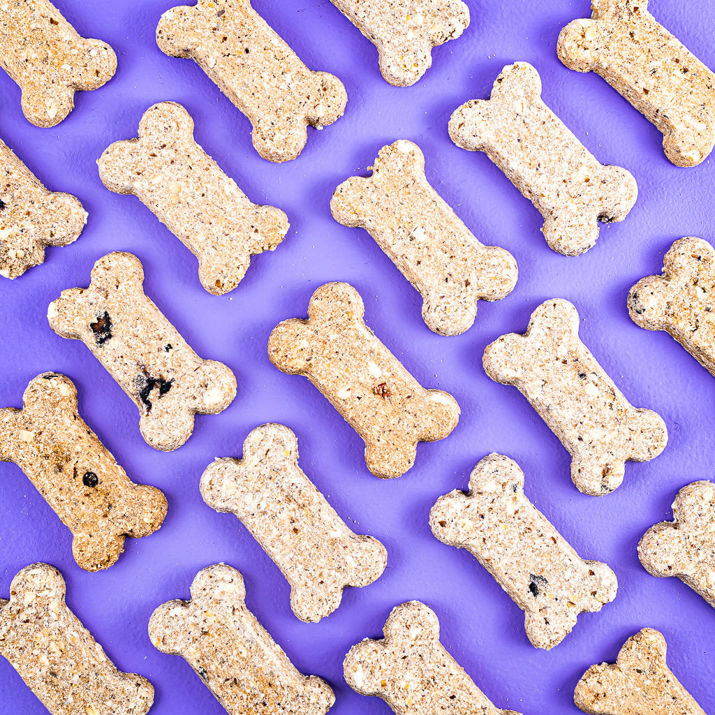 Dog - Berry Boost Bone Treats