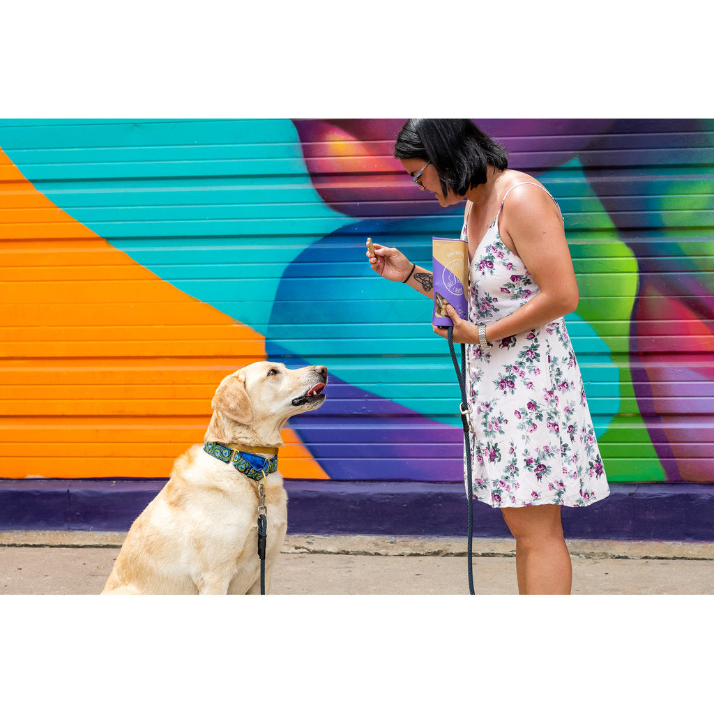 Dog - Berry Boost Bone Treats
