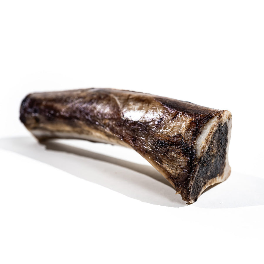 Dog - Bison Marrow 6-8'' Bone