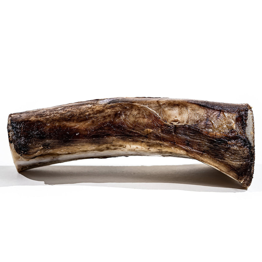 Dog - Bison Marrow 6-8'' Bone
